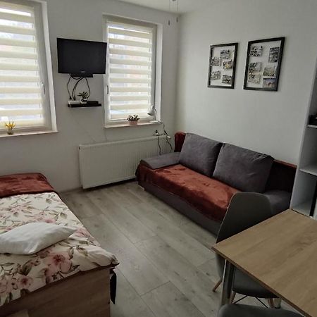 Apartament "Jelen" Jelenia Gora Lejlighed Eksteriør billede